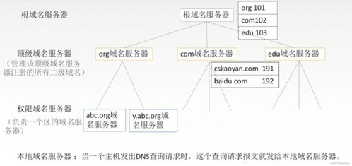 计算机网络体系结构与应用层服务